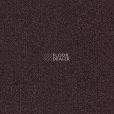 Ковровая плитка Modulyss Millennium Nxtgen Millennium Nxtgen 352 фото 1 | FLOORDEALER